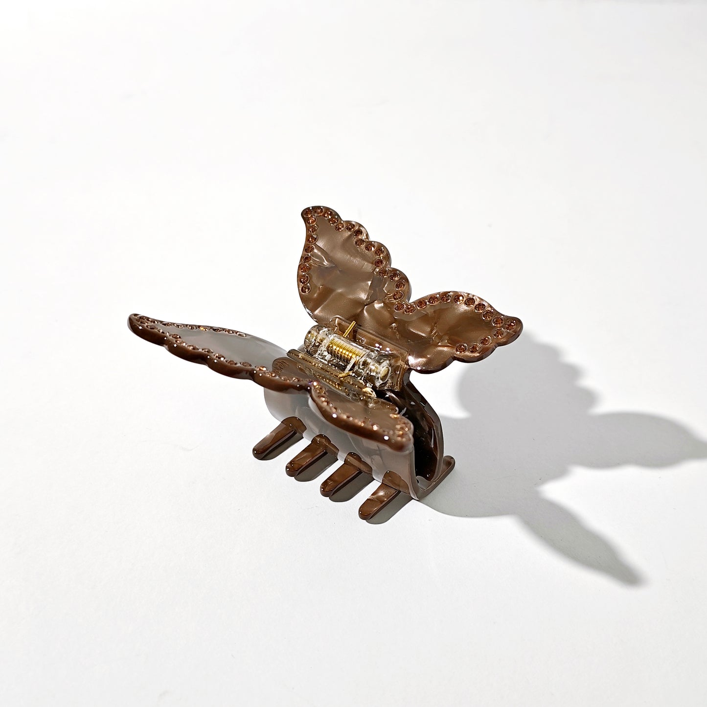 Desert Butterfly