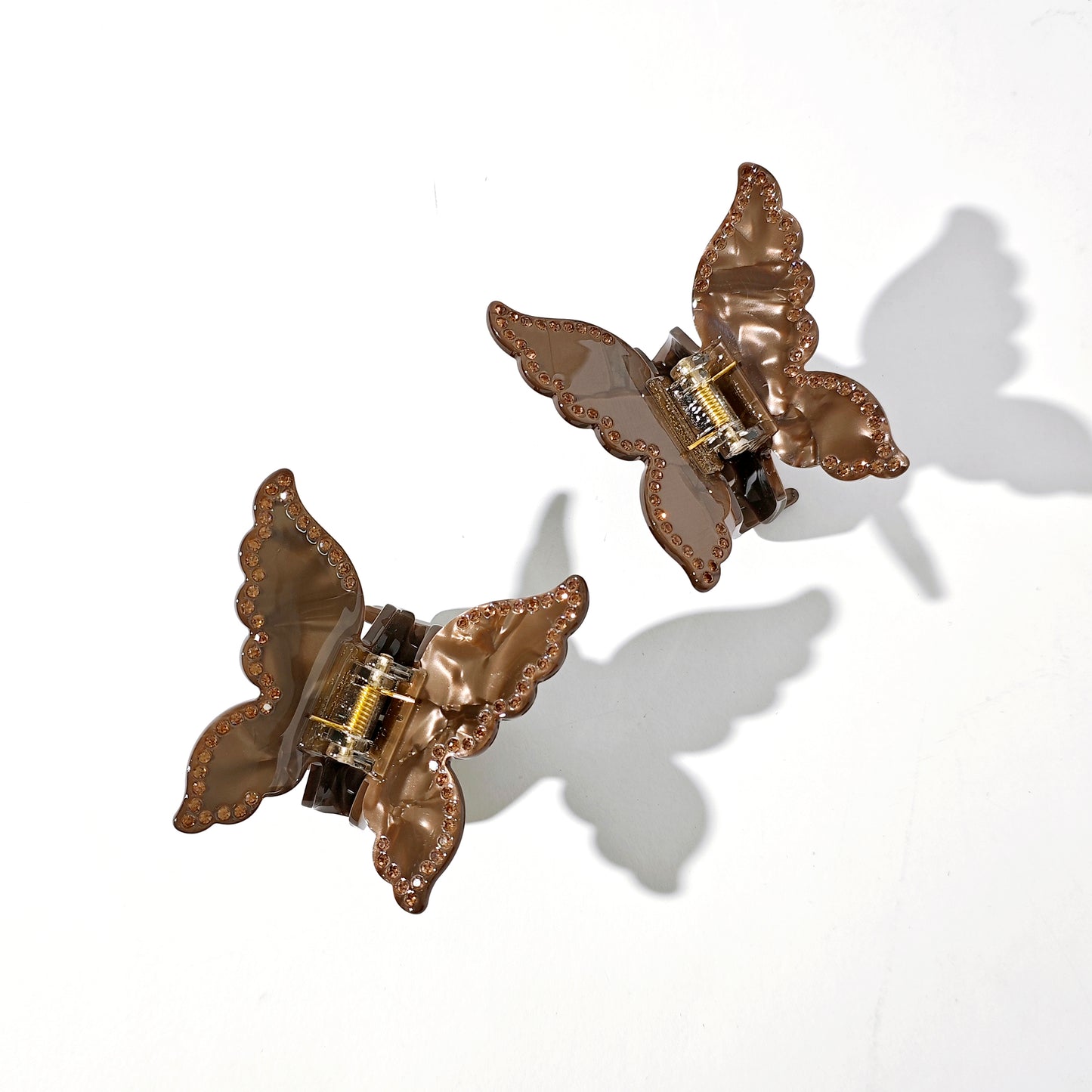 Desert Butterfly