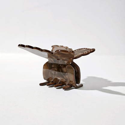 Desert Butterfly