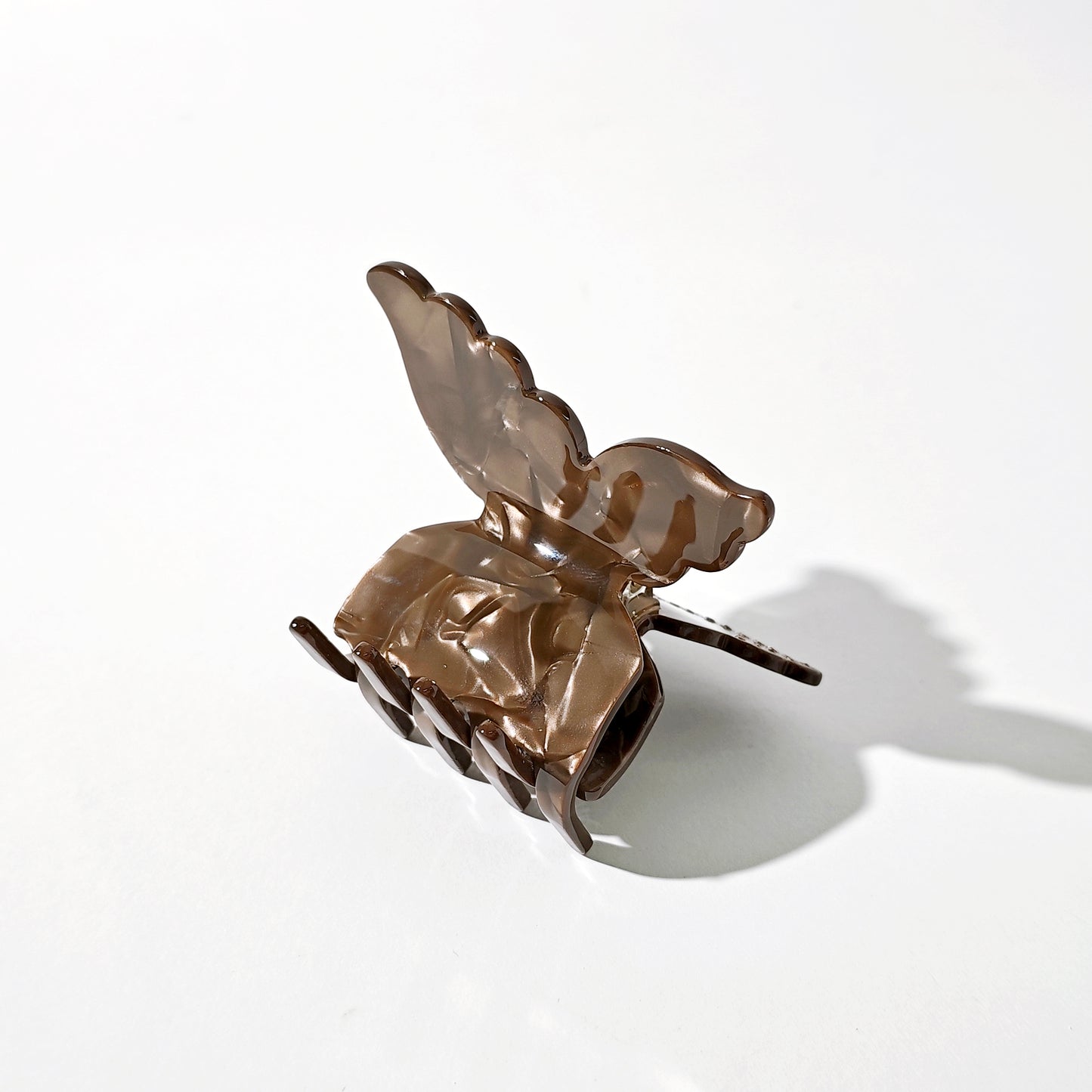 Desert Butterfly