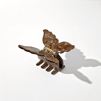 Desert Butterfly