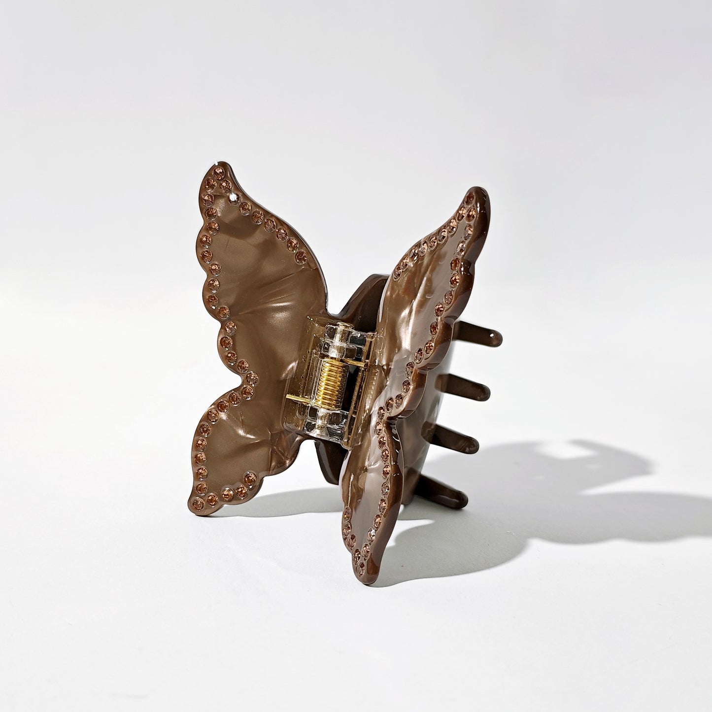 Desert Butterfly