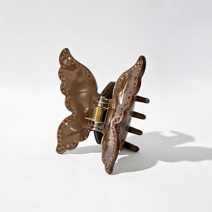 Desert Butterfly